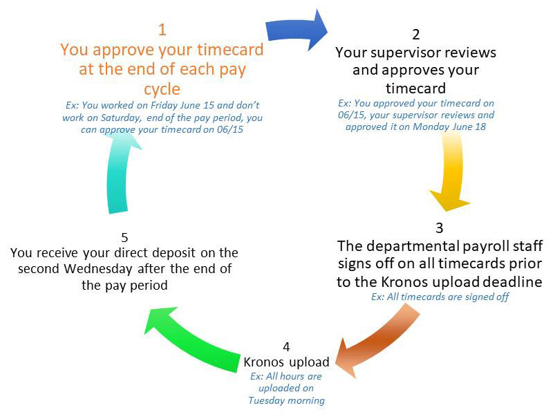 Kronos – Timekeeping – A.S. Student Staff